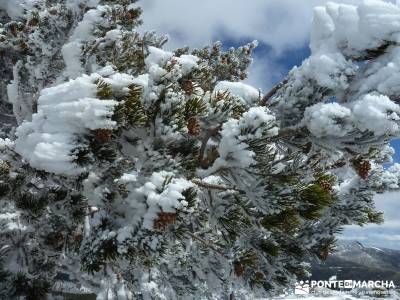 Siete Picos - Parque Nacional Cumbres del Guadarrama;parque natural de la sierra calderona parque na